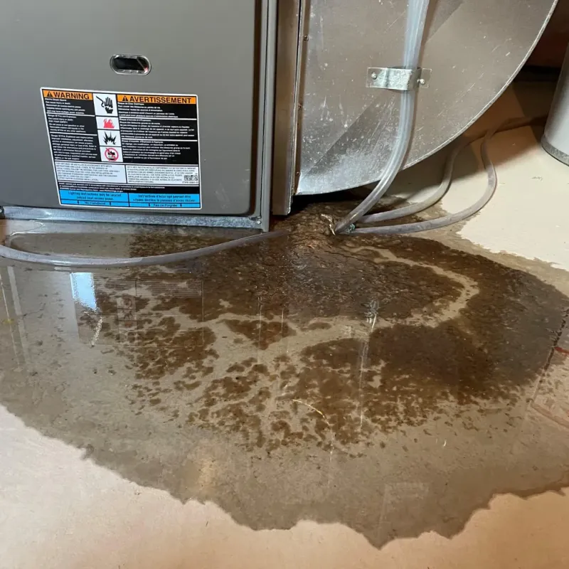 Appliance Leak Cleanup in Midland, WA